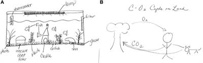 Modeling with a Conceptual Representation: Is It Necessary? Does It Work?